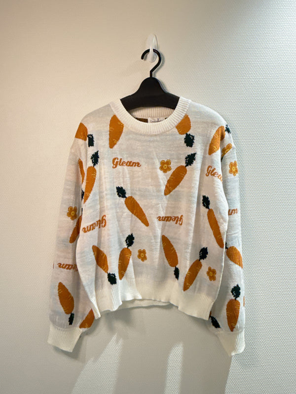 2501080 LE Fruits and Words Sweater - Orange